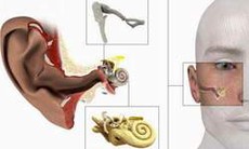 Thận trọng khi dùng thuốc nhỏ tai